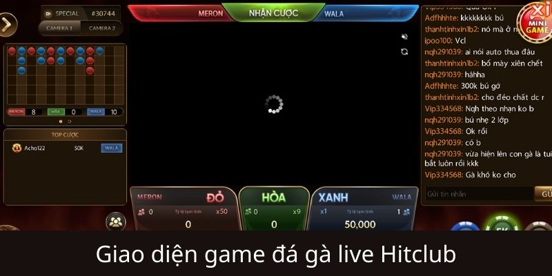 Hướng dẫn tham gia Đá gà Live Hitclub cho người mới